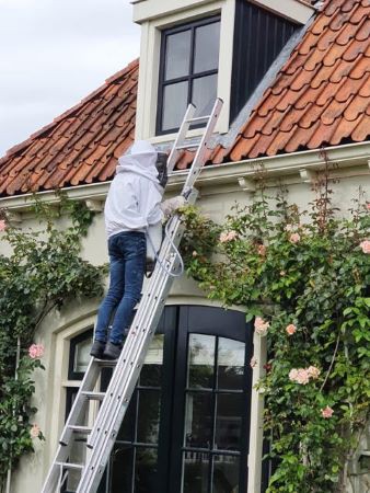 Wespennest verwijderen